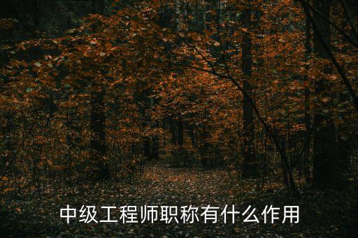 中級(jí)工程師，工程師中級(jí)及以上職稱(chēng)是什么意思