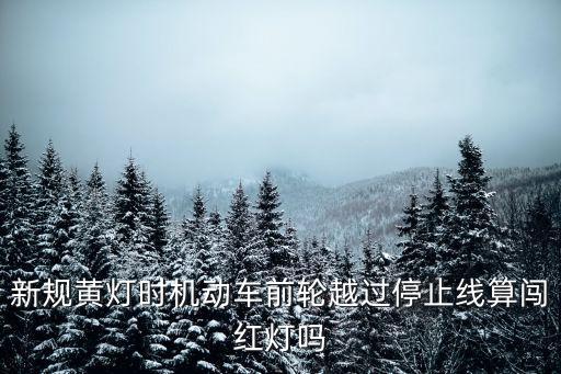 黃燈最后一秒前輪過(guò)線，黃燈最后一秒通過(guò)停止線算闖紅燈嗎