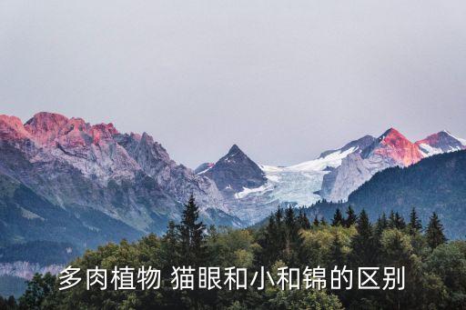 小和錦，多肉小和錦怎么養(yǎng) 小和錦的養(yǎng)殖方法