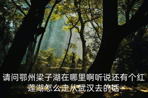 鄂州梁子湖，請問鄂州梁子湖在哪里啊聽說還有個紅蓮湖怎么走從武漢去的話