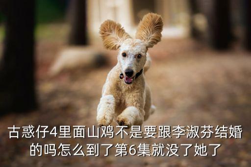 古惑仔4里面山雞不是要跟李淑芬結(jié)婚的嗎怎么到了第6集就沒了她了