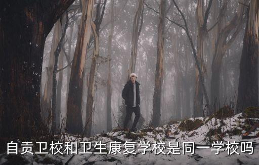 自貢衛(wèi)校和衛(wèi)生康復(fù)學(xué)校是同一學(xué)校嗎