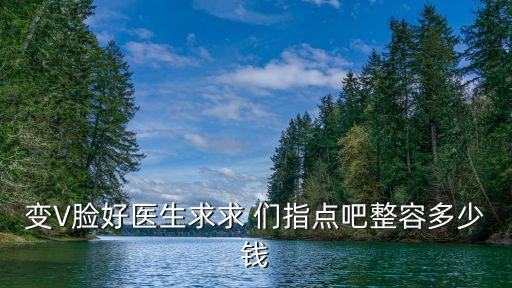 v臉整容多少錢，變V臉好醫(yī)生求求 們指點(diǎn)吧整容多少錢
