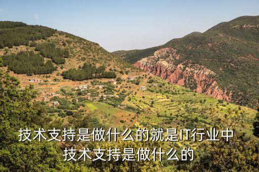 技術(shù)支持是做什么的就是IT行業(yè)中 技術(shù)支持是做什么的