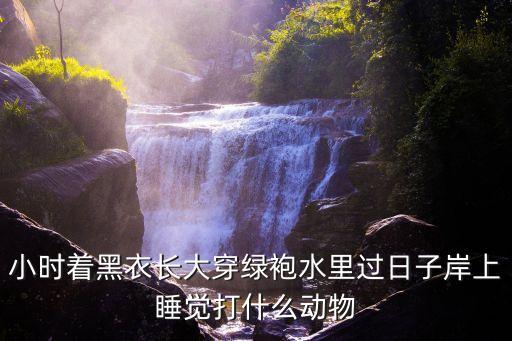 小時著黑衣長大穿綠袍水里過日子岸上睡覺打什么動物