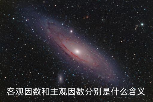 客觀因數(shù)和主觀因數(shù)分別是什么含義