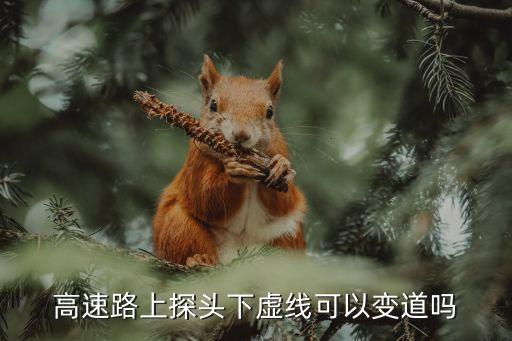 高速路上探頭下虛線可以變道嗎