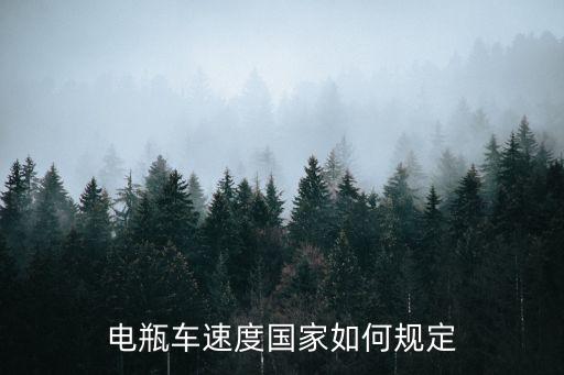 電動車速度標(biāo)準(zhǔn)，電瓶車速度國家如何規(guī)定