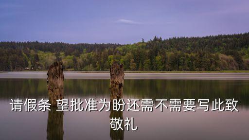 請(qǐng)假條 望批準(zhǔn)為盼還需不需要寫(xiě)此致敬禮
