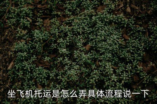 坐飛機托運是怎么弄具體流程說一下