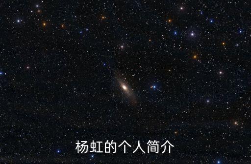 楊虹的個人簡介