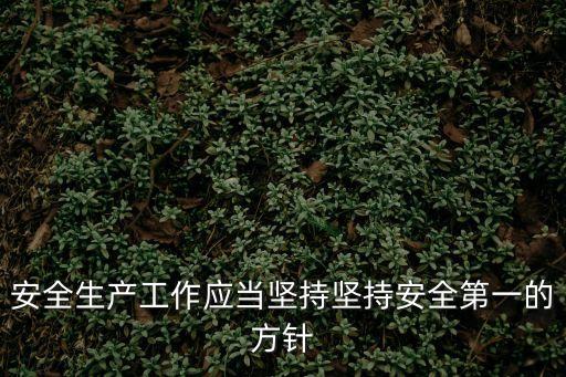 安全生產(chǎn)工作應(yīng)當(dāng)堅持堅持安全第一的方針