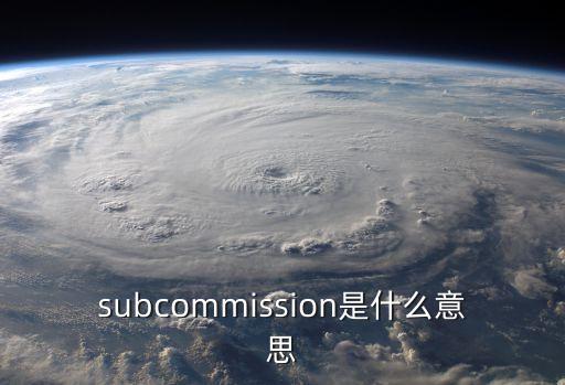 subcommission是什么意思