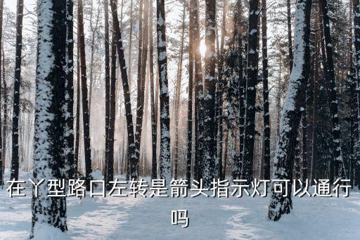 左轉(zhuǎn)箭頭，左轉(zhuǎn)彎箭頭的路能否掉頭