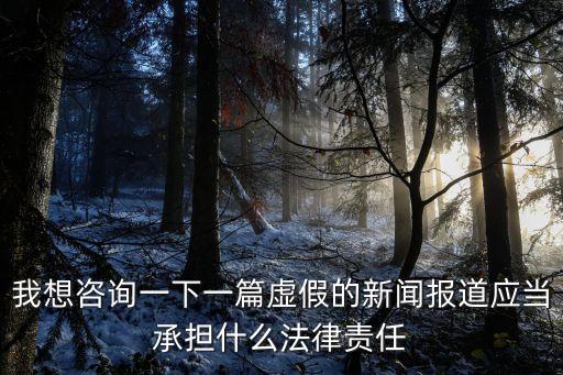 我想咨詢一下一篇虛假的新聞報(bào)道應(yīng)當(dāng)承擔(dān)什么法律責(zé)任