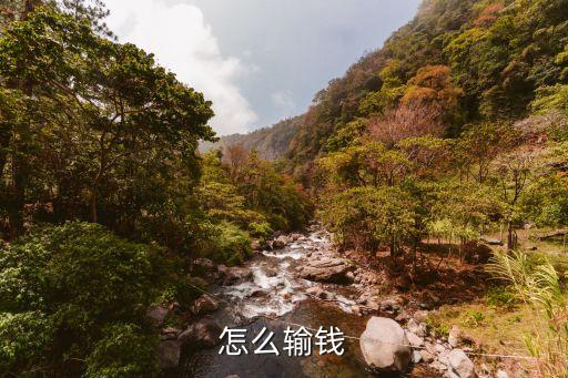 怎么輸錢