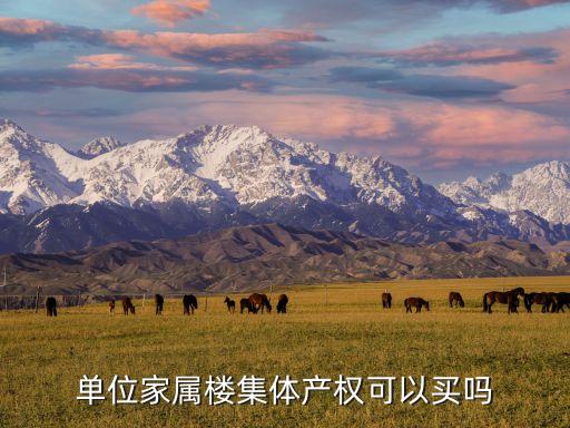 單位家屬樓集體產(chǎn)權(quán)可以買嗎