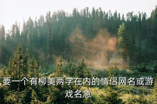 柳美，要一個(gè)有柳美兩字在內(nèi)的情侶網(wǎng)名或游戲名急