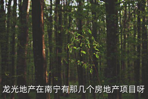 尚海陽光，汕頭哪一個花園小區(qū)比較好