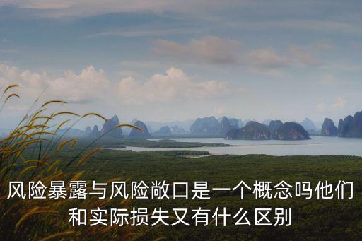 風(fēng)險(xiǎn)暴露，風(fēng)險(xiǎn)暴露與風(fēng)險(xiǎn)敞口是一個(gè)概念嗎他們和實(shí)際損失又有什么區(qū)別