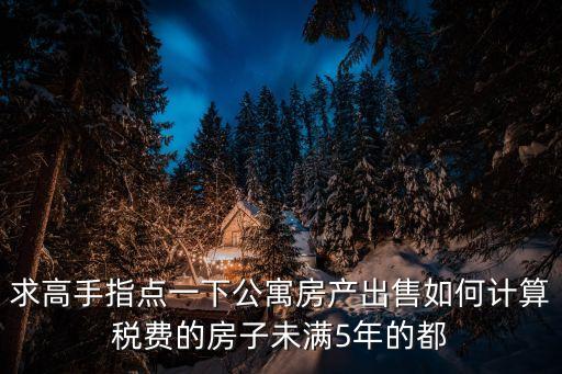求高手指點一下公寓房產(chǎn)出售如何計算稅費的房子未滿5年的都