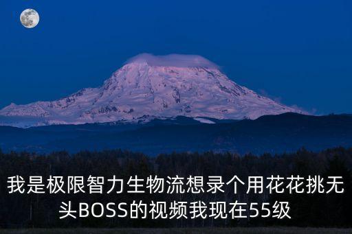 我是極限智力生物流想錄個用花花挑無頭BOSS的視頻我現(xiàn)在55級