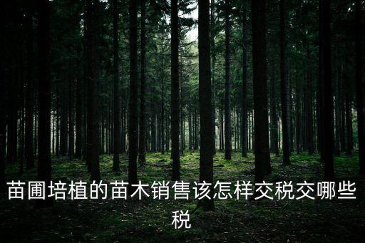 苗圃培植的苗木銷售該怎樣交稅交哪些稅