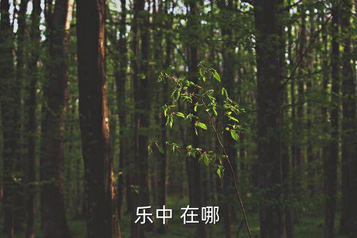 樂中 在哪