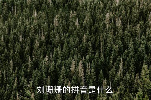 劉珊珊的拼音是什么