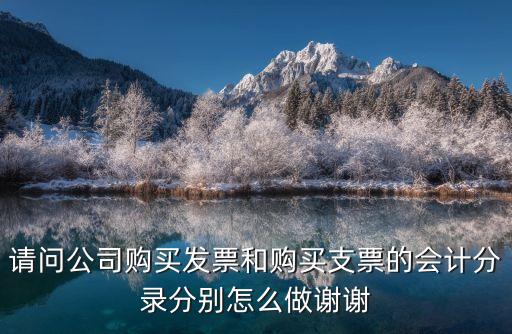 請(qǐng)問(wèn)公司購(gòu)買發(fā)票和購(gòu)買支票的會(huì)計(jì)分錄分別怎么做謝謝