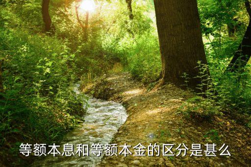 等額本息和等額本金的區(qū)分是甚么