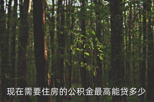 現(xiàn)在需要住房的公積金最高能貸多少