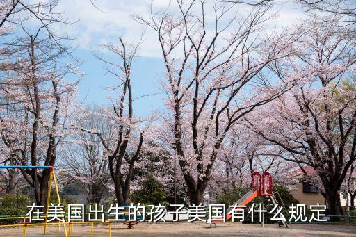 在美國出生的孩子美國有什么規(guī)定