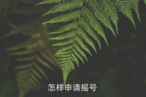 怎么搖車牌號，怎樣申請搖號