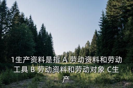 1生產(chǎn)資料是指 A 勞動資料和勞動工具 B 勞動資料和勞動對象 C生產(chǎn)