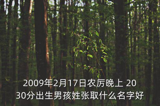 赫曉東，2009年2月17日農(nóng)厲晚上 2030分出生男孩姓張取什么名字好