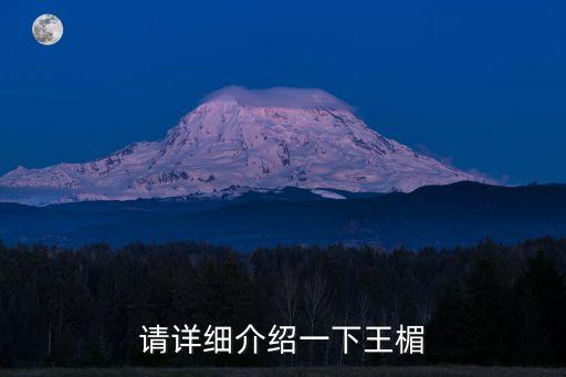 王娥，三國里王伉是誰