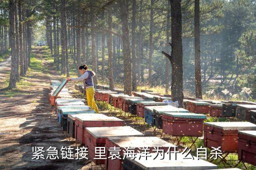 緊急鏈接 里袁海洋為什么自殺