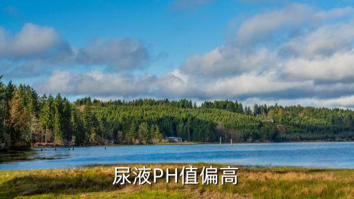 尿vk，尿脢 是什么東西啊