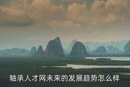 軸承人才網(wǎng)未來的發(fā)展趨勢(shì)怎么樣