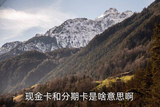 現(xiàn)金卡和分期卡是啥意思啊
