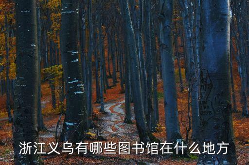 浙江義烏有哪些圖書館在什么地方
