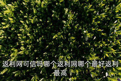 反利網(wǎng)，返利網(wǎng)哪個比較受歡迎