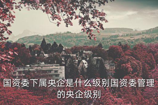 央企歸誰管，中國央企局屬于什么單位管