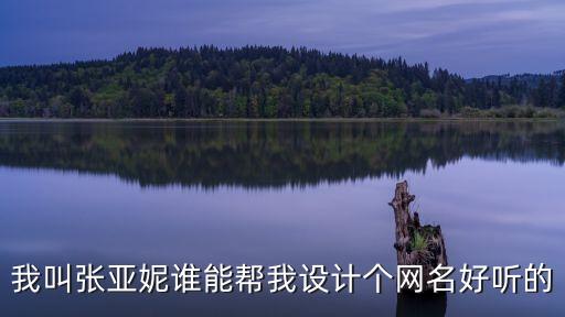 我叫張亞妮誰能幫我設(shè)計個網(wǎng)名好聽的
