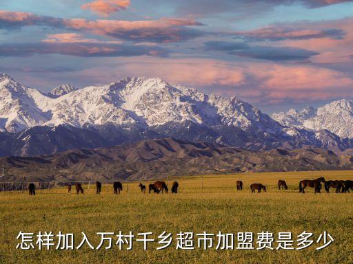 萬村千鄉(xiāng)，商務部萬村千鄉(xiāng)的具體地址在哪
