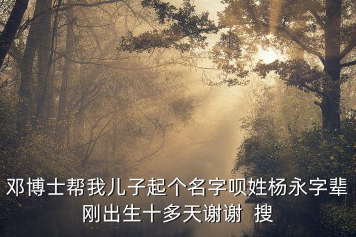 楊永志，2014年淮陽縣縣長是誰