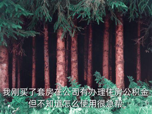 我剛買了套房在公司有辦理住房公積金但不知道怎么使用很急幫