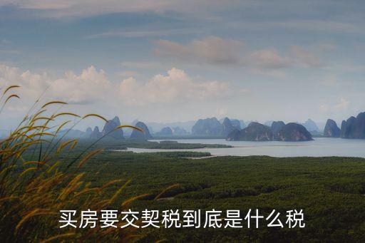 購房契稅，購房交的契稅到底是什么