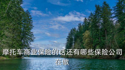 摩托車商業(yè)保險的話還有哪些保險公司在做